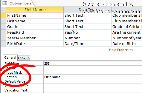captions for fields in Access