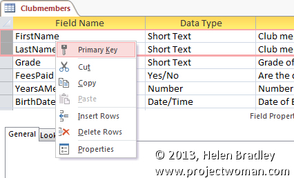 primary key for an Access 2013 data base