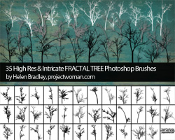 fractal tree thumbnail
