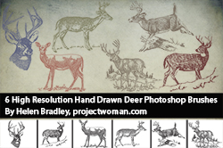 deer thumbnail