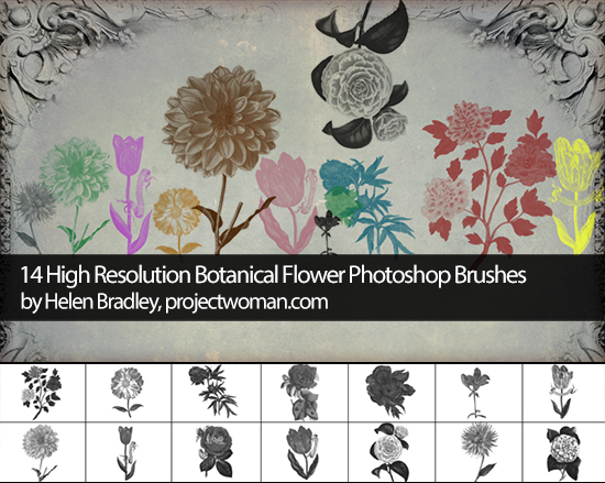 flowers brush preview