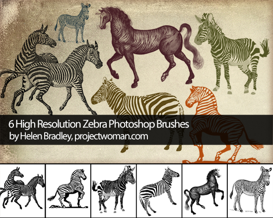 zebra brush preview