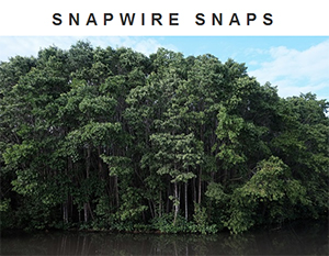 Snapwire Snaps