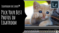 Pick Your Best Photos in Lightroom