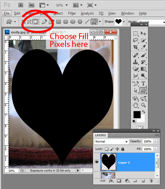 heart shape photo crop heart shape photo crop
